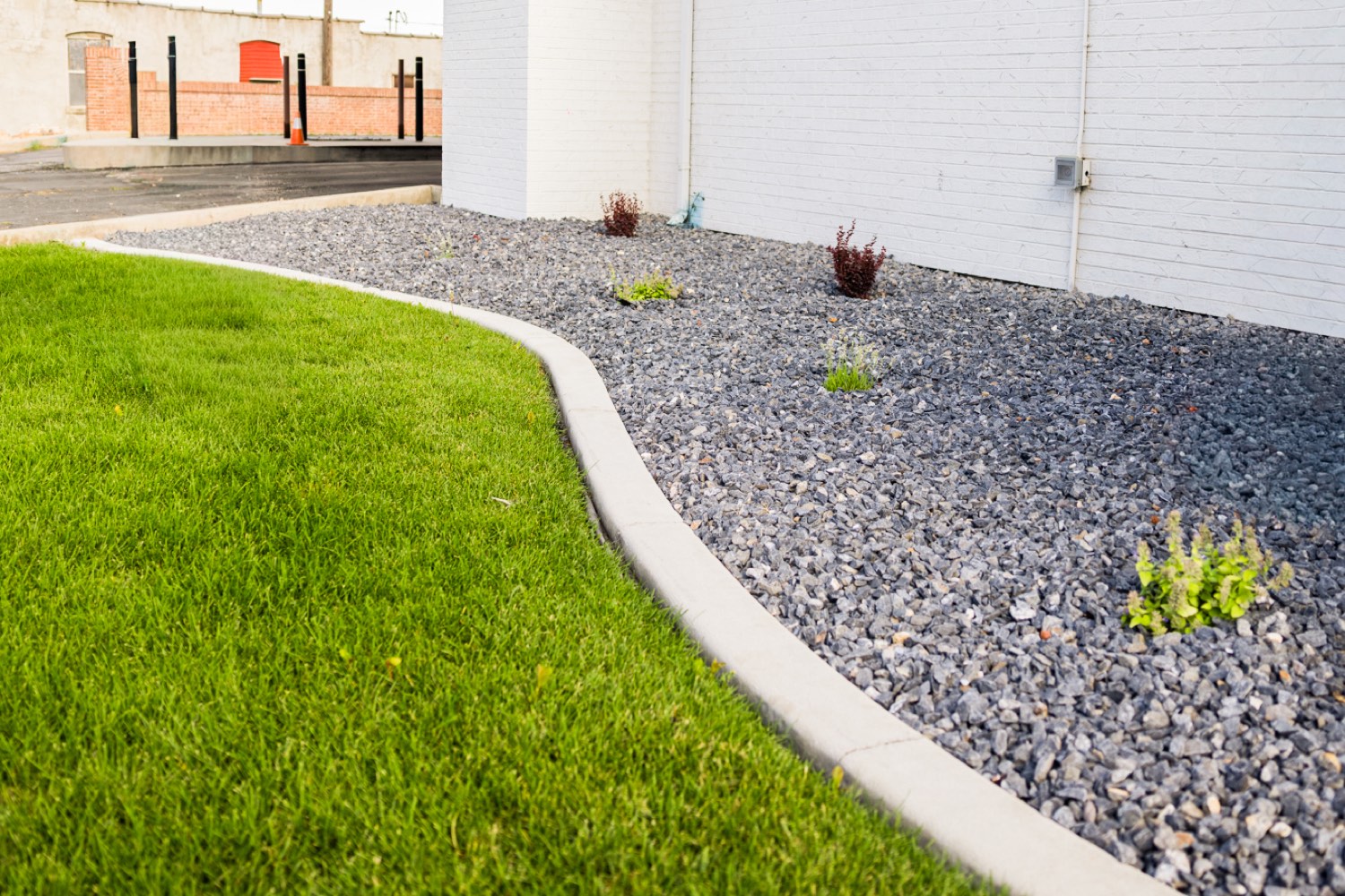 Curved rock bed with a clean lawn edge